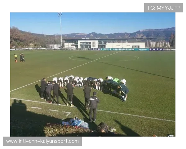 职业球员是否参与联盟规章制度制定和完善，职业球员的定义